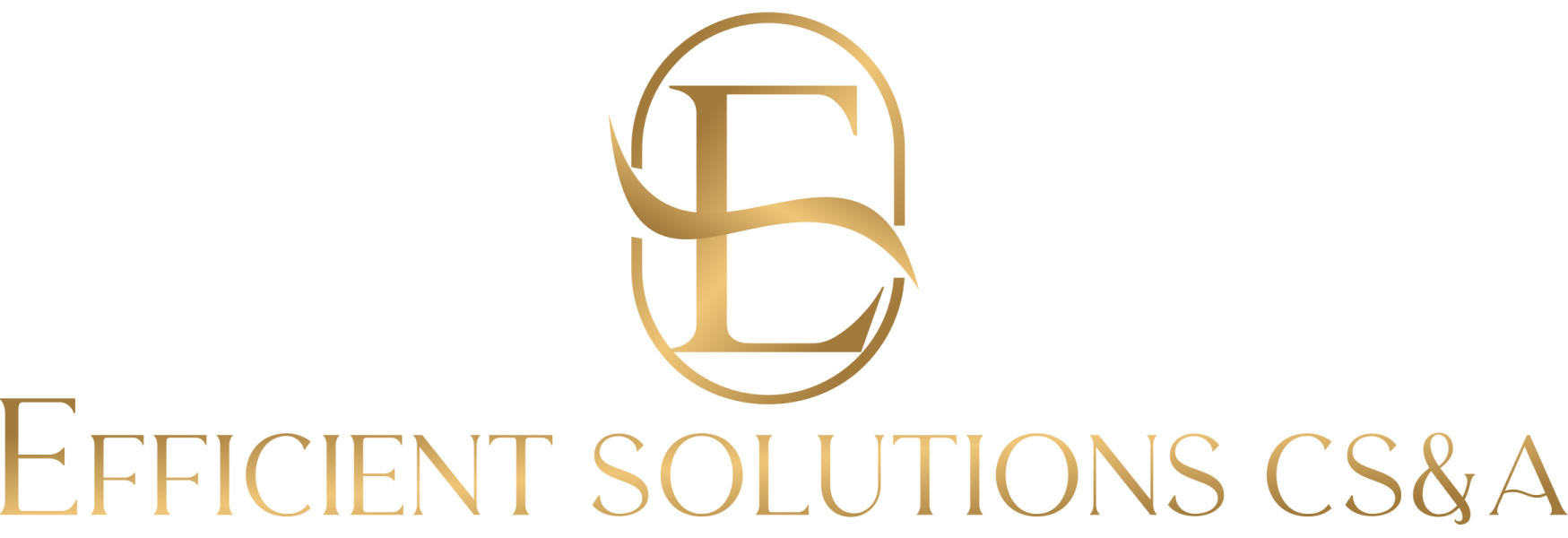 Efficient Solutions CS&A